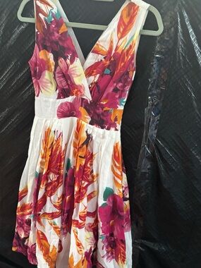 Aryeh cream Floral V-Neck Dress with Magenta and Orange Blooms